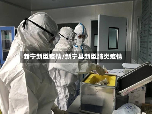 新宁新型疫情/新宁县新型肺炎疫情-第2张图片