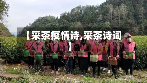 【采茶疫情诗,采茶诗词】