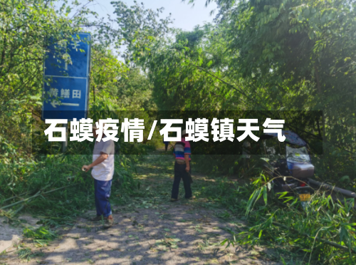石蟆疫情/石蟆镇天气-第2张图片