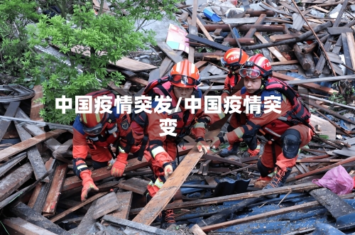 中国疫情突发/中国疫情突变