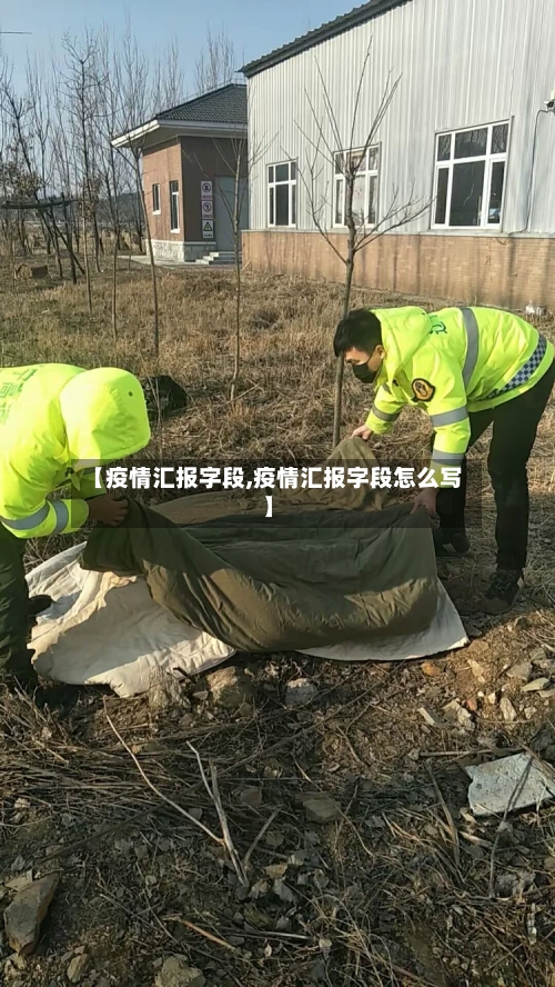 【疫情汇报字段,疫情汇报字段怎么写】