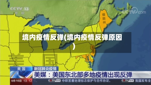 境内疫情反弹(境内疫情反弹原因)