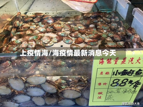 上疫情海/海疫情最新消息今天-第2张图片