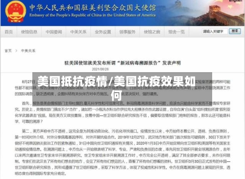 美国抵抗疫情/美国抗疫效果如何-第2张图片