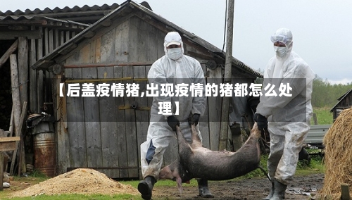 【后盖疫情猪,出现疫情的猪都怎么处理】