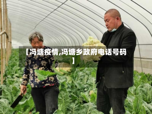 【冯塘疫情,冯塘乡政府电话号码】