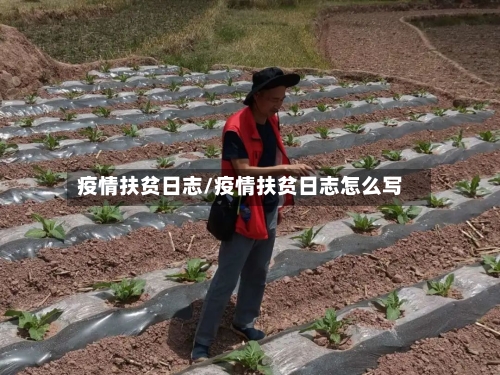 疫情扶贫日志/疫情扶贫日志怎么写-第3张图片