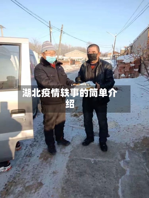 湖北疫情轶事的简单介绍