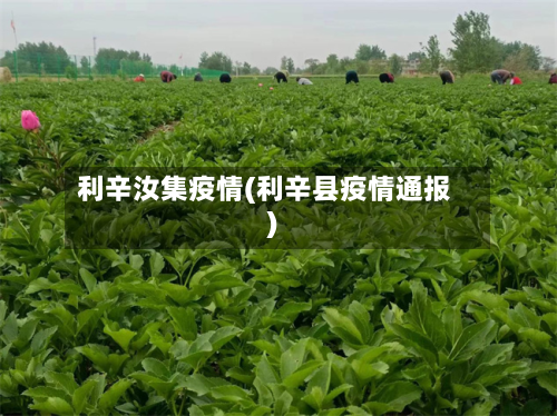 利辛汝集疫情(利辛县疫情通报)-第2张图片