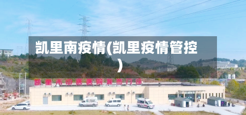 凯里南疫情(凯里疫情管控)