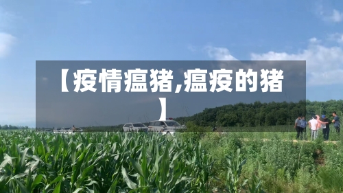 【疫情瘟猪,瘟疫的猪】