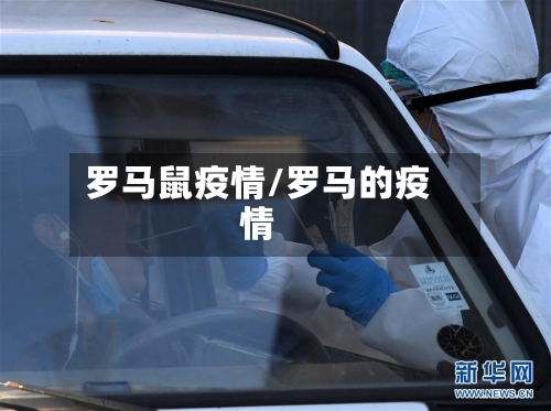 罗马鼠疫情/罗马的疫情-第2张图片