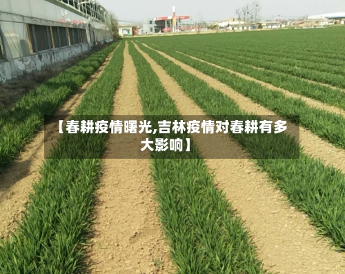 【春耕疫情曙光,吉林疫情对春耕有多大影响】