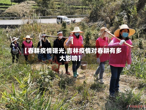 【春耕疫情曙光,吉林疫情对春耕有多大影响】-第2张图片