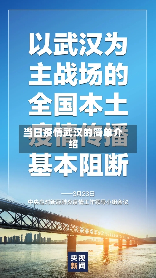 当日疫情武汉的简单介绍-第2张图片