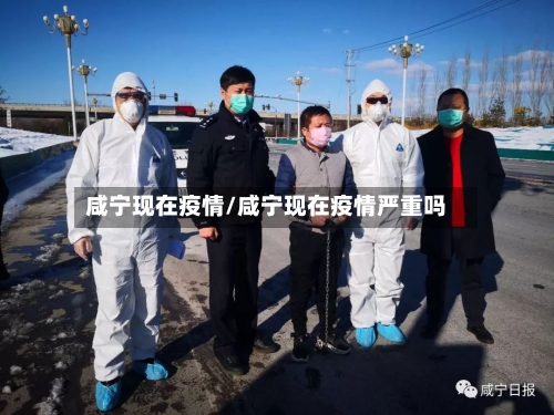 咸宁现在疫情/咸宁现在疫情严重吗