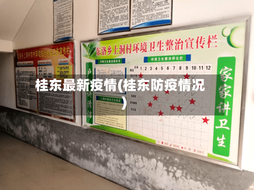 桂东最新疫情(桂东防疫情况)