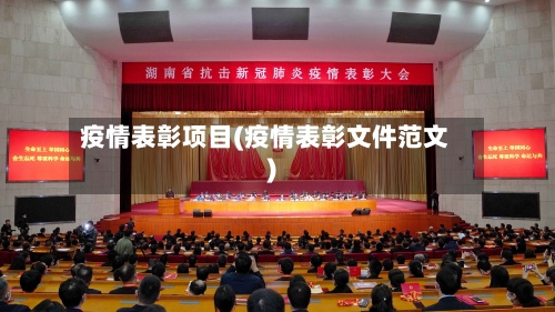 疫情表彰项目(疫情表彰文件范文)-第3张图片