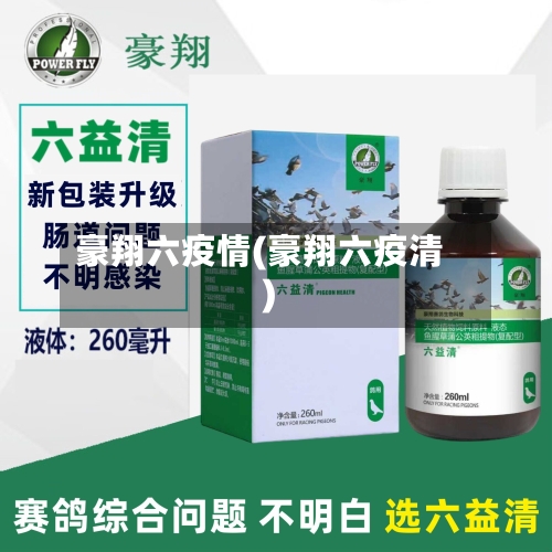 豪翔六疫情(豪翔六疫清)