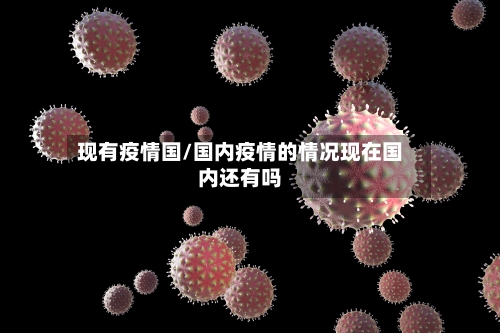 现有疫情国/国内疫情的情况现在国内还有吗