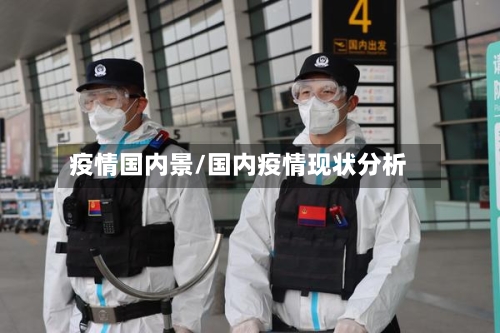 疫情国内景/国内疫情现状分析