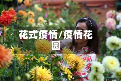 花式疫情/疫情花园-第2张图片