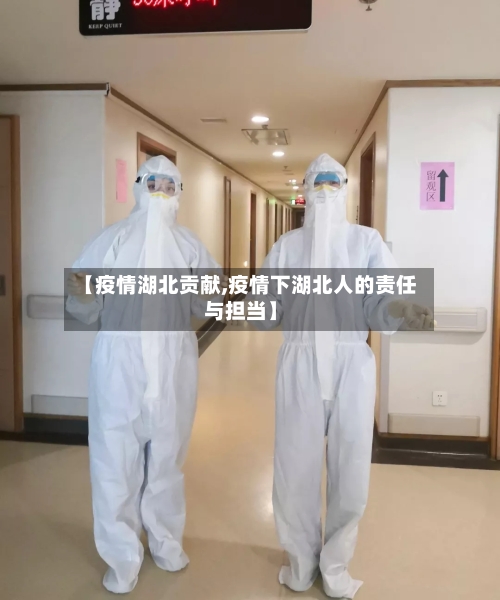 【疫情湖北贡献,疫情下湖北人的责任与担当】-第2张图片