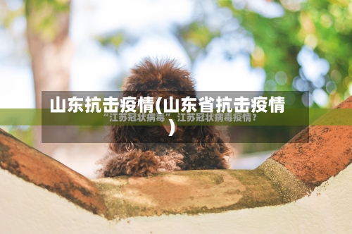 山东抗击疫情(山东省抗击疫情)