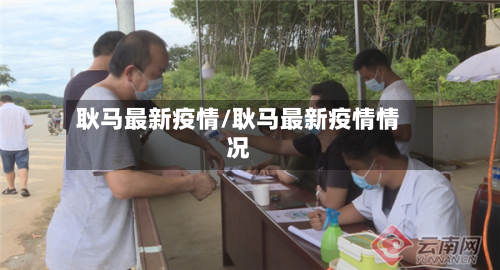耿马最新疫情/耿马最新疫情情况-第3张图片