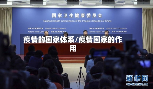 疫情的国家体系/疫情国家的作用-第2张图片