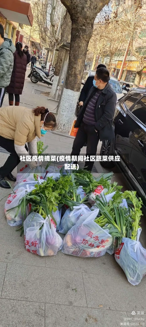 社区疫情摘菜(疫情期间社区蔬菜供应配送)-第3张图片