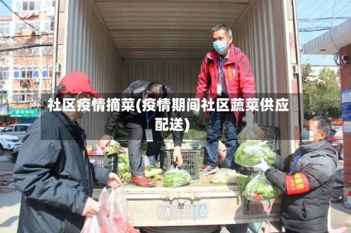 社区疫情摘菜(疫情期间社区蔬菜供应配送)-第2张图片