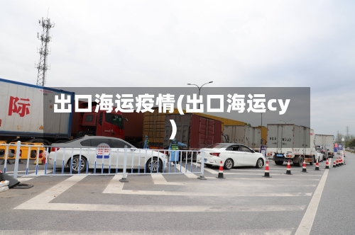 出口海运疫情(出口海运cy)