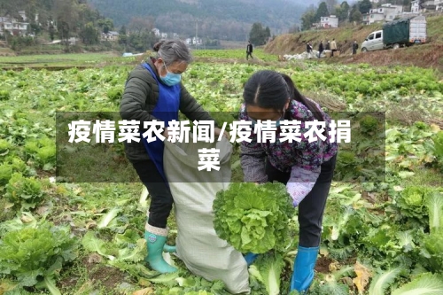 疫情菜农新闻/疫情菜农捐菜