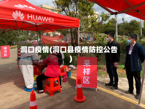 洞口疫情(洞口县疫情防控公告)-第2张图片