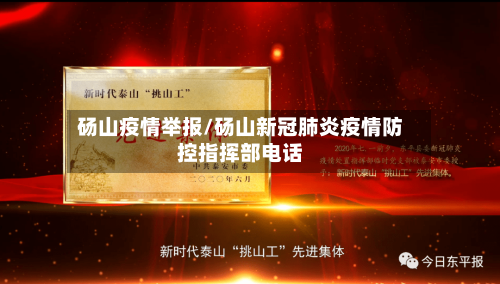 砀山疫情举报/砀山新冠肺炎疫情防控指挥部电话