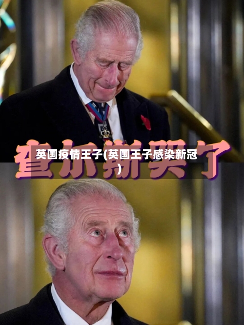 英国疫情王子(英国王子感染新冠)-第3张图片