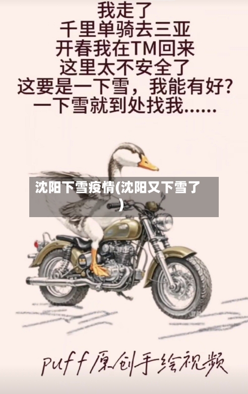沈阳下雪疫情(沈阳又下雪了)-第2张图片