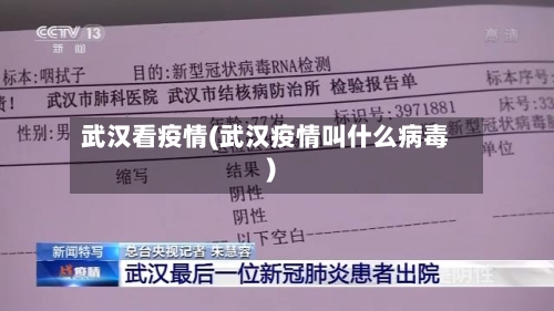 武汉看疫情(武汉疫情叫什么病毒)-第2张图片