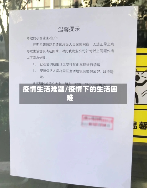 疫情生活难题/疫情下的生活困难
