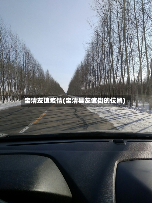 宝清友谊疫情(宝清县友谊街的位置)-第3张图片
