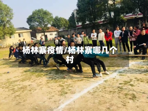 杨林寨疫情/杨林寨哪几个村-第3张图片