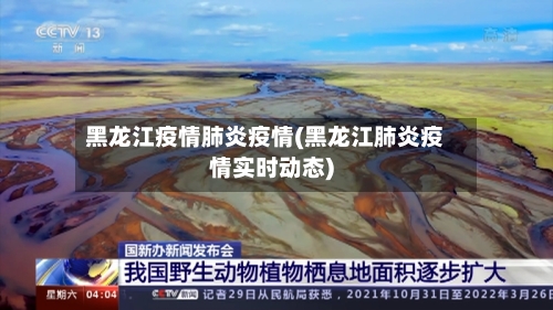 黑龙江疫情肺炎疫情(黑龙江肺炎疫情实时动态)-第2张图片