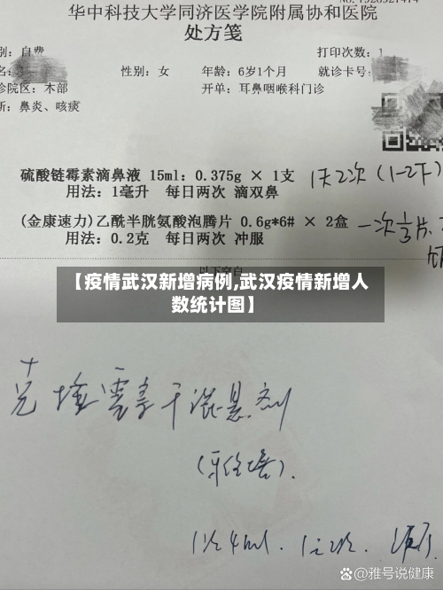 【疫情武汉新增病例,武汉疫情新增人数统计图】-第3张图片