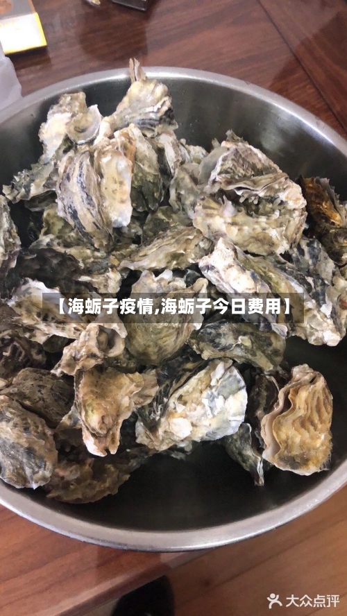 【海蛎子疫情,海蛎子今日费用】