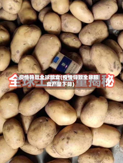 疫情导致全球粮食(疫情导致全球粮食产量下降)-第2张图片