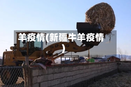 羊疫情(新疆牛羊疫情)-第3张图片