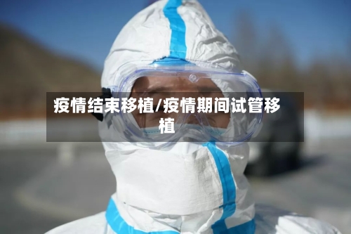 疫情结束移植/疫情期间试管移植