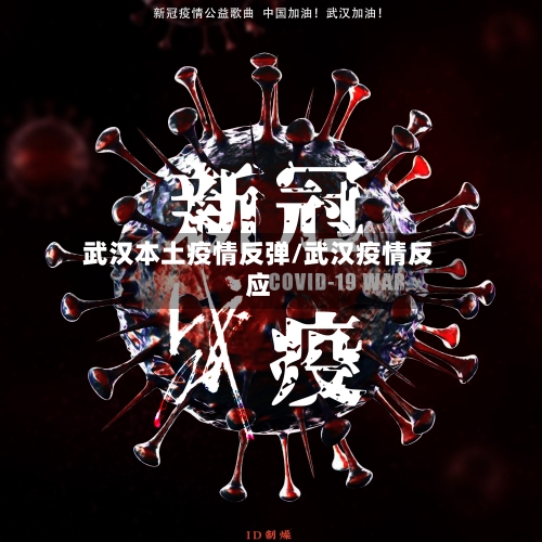 武汉本土疫情反弹/武汉疫情反应