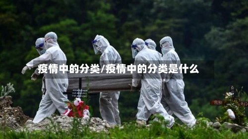 疫情中的分类/疫情中的分类是什么